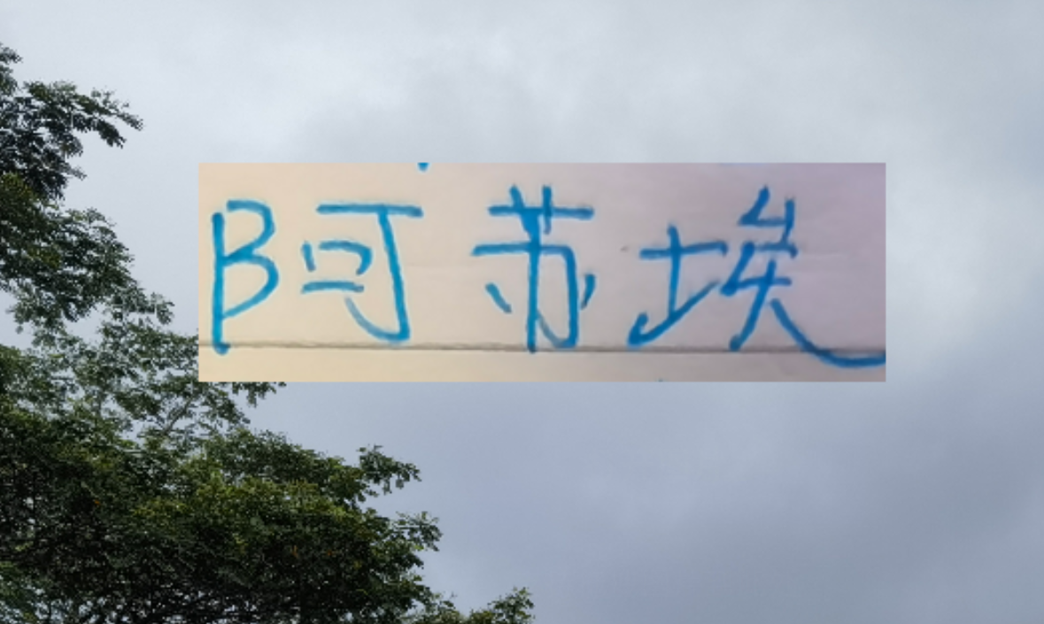 开云平台-海港也走捡漏路线了 22岁多哥外援会比24岁申花前锋高级吗